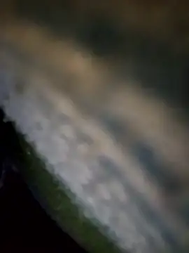 Pitercom's Webcam Show