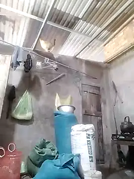 BigBoobs186 Show Webcam