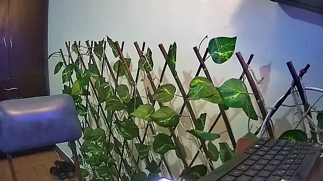 nicoltatiana_ Obrolan Langsung XXX