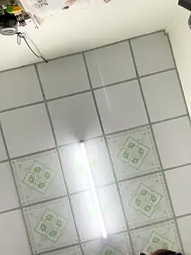 Chat +18 de bi_biii ao vivo