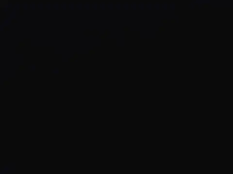 Parislennon élő XXX-chatje