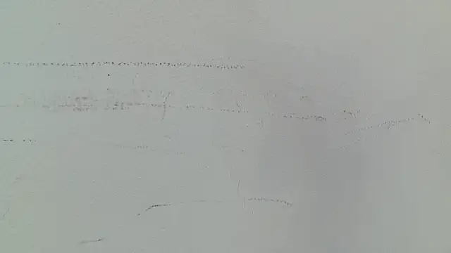 Luna_Noire1's Webcam Show