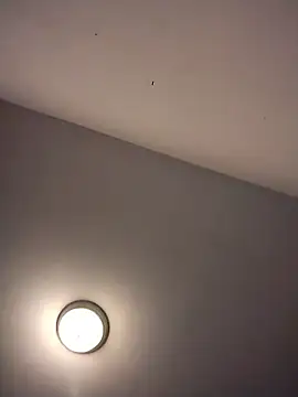 Treemandude's Webcam Show