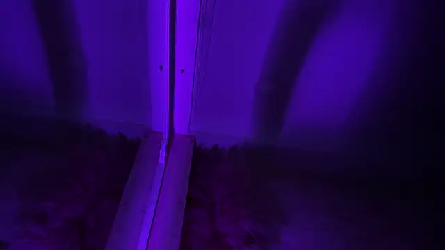 Show de TyagoRoberts_ na webcam