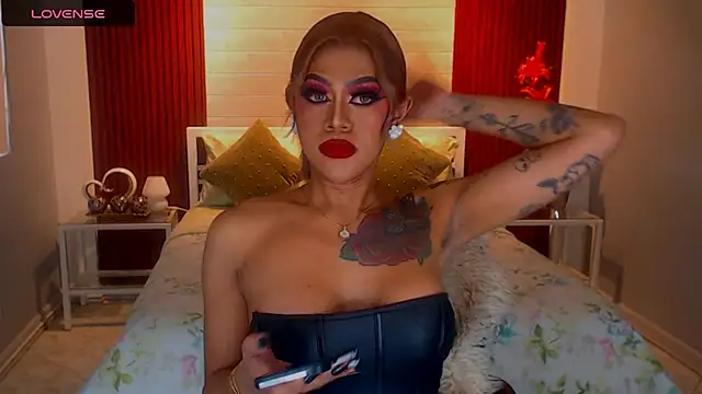 StellaStrong30のウェブカメラショー