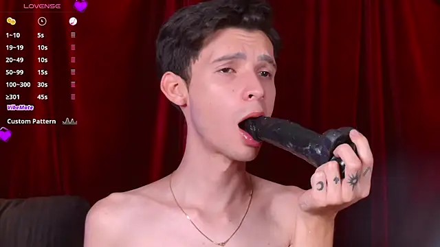 VicenteFerrerのウェブカメラショー