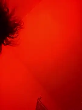 SpeedMagnumBlade6669's Live XXX Chat