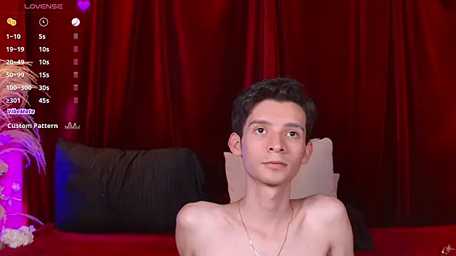 VicenteFerrerのウェブカメラショー