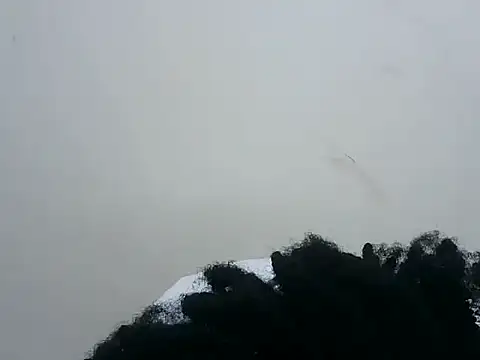 XXX chat uživo modela prettybeee