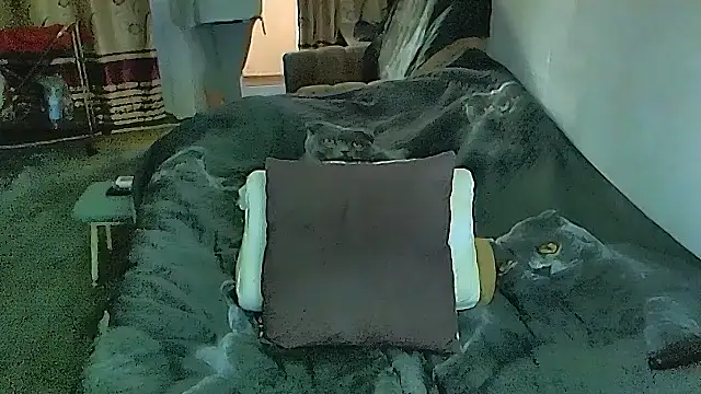 sex2のライブXXXチャット