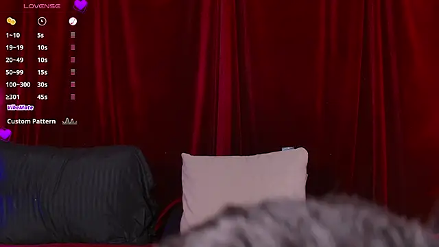 عرض كام VicenteFerrer