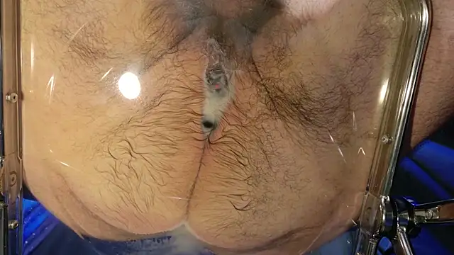 Show de webcam de jj7779SC