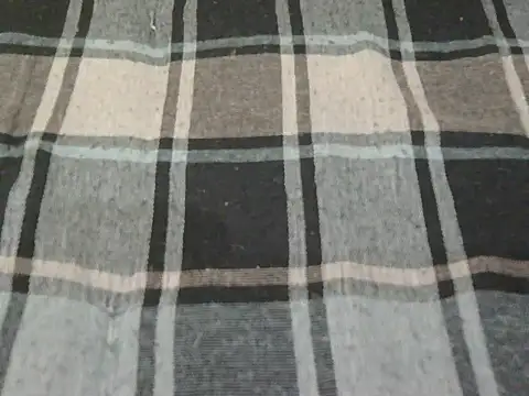 Show webcam de Anika_Singh