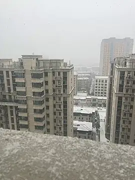 nole_china7 Live XXX-chat