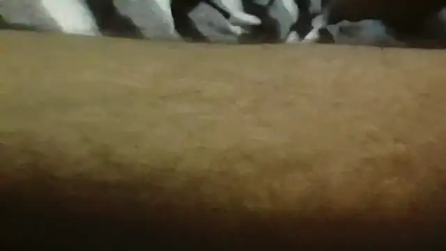 Chat XXX ao vivo de REDDY89