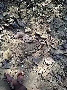 88zaifkhan88 – Naživo XXX chat