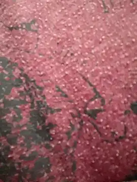 Sam_Colt – Naživo XXX chat