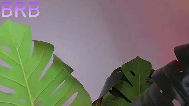 swt_kahia élő XXX-chatje