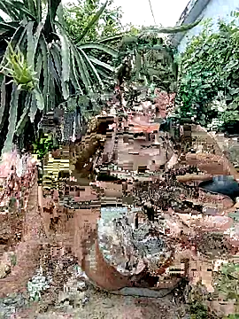 Billa2x 在線直播表演