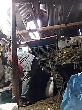 sarpe4's Live XXX Chat