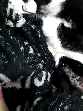 nadia__abaud's Live XXX Chat