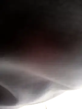 twitsheのウェブカメラショー