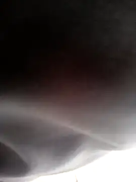 Chat +18 de twitshe ao vivo