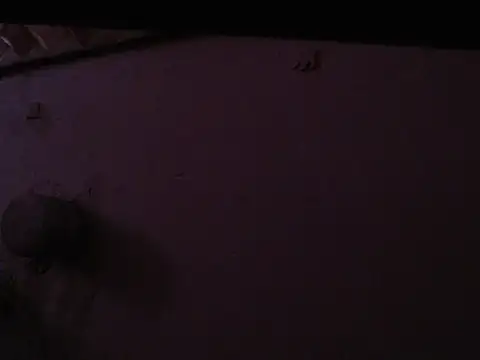 Chat XXX ao vivo de DannaTs1