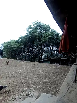 ngan-cute's Live XXX Chat