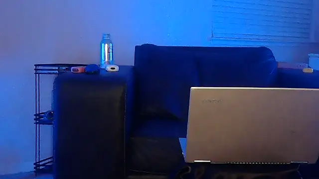 Show Webcam de MISTERANDDEMI