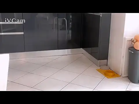 Renegade1608 Chat XXX live