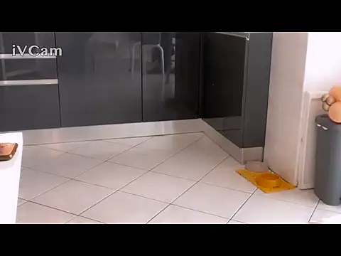 Renegade1608's Webcam Show