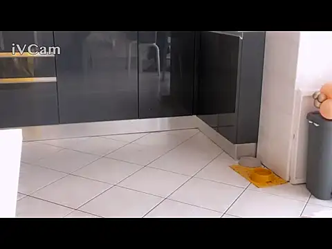 Renegade1608 – Live XXX-chat