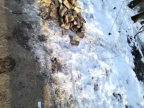 Chat XXX Live Odecca11