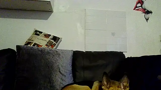 Chat XXX en directo de RubyyRosee