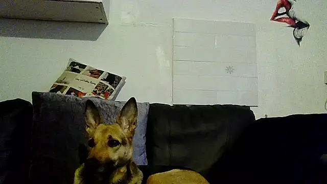 Chat XXX en directo de RubyyRosee