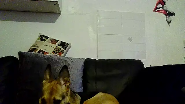 Chat XXX ao vivo de RubyyRosee