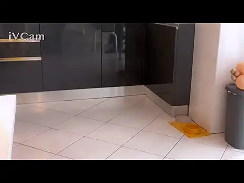 Renegade1608's Webcam Show