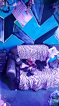 Dixie_delight's Live XXX Chat