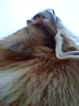 Živý XXX chat martachatte