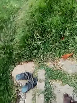 dolphiinn live XXX chat