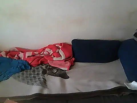 schmidtler35's Live XXX Chat