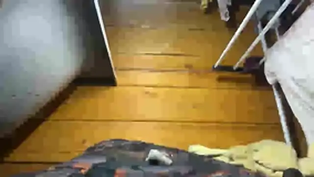 Онлайн чат XXX MissEvelynGlow