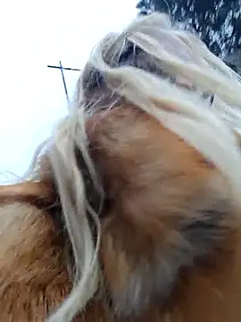 martachatteのライブXXXチャット