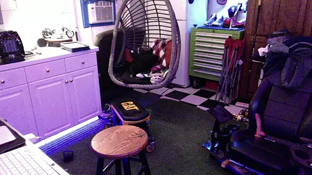 Polaroid_White: διαδικτυακό σόου στην κάμερα