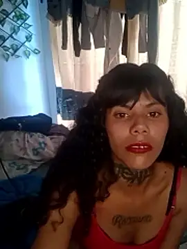 Chat +18 de Bellatris_ ao vivo