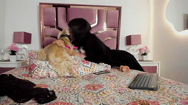 Chat +18 de Meghan320 ao vivo