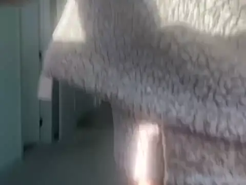 Chat XXX en directo de geld_88