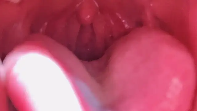 LT-333's Live XXX Chat