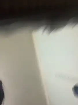 ardellier 现场XXX聊天